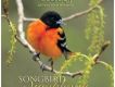 Songbird Symphony