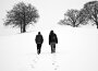 Where Distant Spirits Remain專輯_FallochWhere Distant Spirits Remain最新專輯