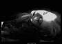 Одинокое Восхождение專輯_Apathetical SyndromeОдинокое Восхождение最新專輯
