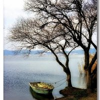 By The Tree圖片照片_By The Tree