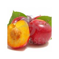 Plum圖片照片_Plum