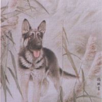 劉德波圖片照片_劉德波