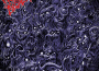 Altars of Madness專輯_Morbid AngelAltars of Madness最新專輯