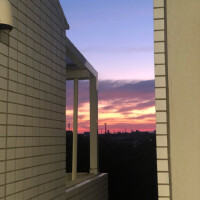 愛情詩人