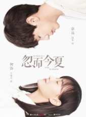 楊玥演過的電影電視劇線上看_影視作品大全_好看的明星