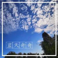 陳安瀾最新專輯_新專輯大全_專輯列表
