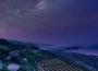 鄭凌芳最新歌曲_最熱專輯MV_圖片照片
