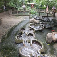 活水圖片照片_活水