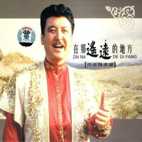 在那遙遠的地方專輯_肉孜·阿木提在那遙遠的地方最新專輯