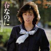 柏原芳恵圖片照片_柏原芳恵