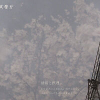 mimei圖片照片_mimei