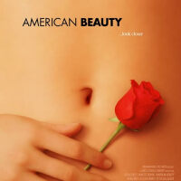 美國美人American Beauty圖片照片_美國美人American Beauty