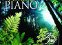 Forest Piano 30th Anniversary專輯_Dan Gibson's SolForest Piano 30th Anniversary最新專輯