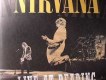 Nirvana歌曲歌詞大全_Nirvana最新歌曲歌詞