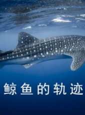 最新2017其它電視劇_好看的2017其它電視劇大全/排行榜_好看的電視劇