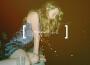 Bonnie The Dog專輯_MosquitoBonnie The Dog最新專輯
