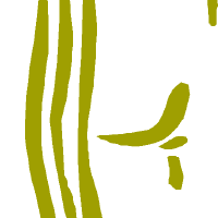f圖片照片_f