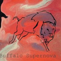 Buffalo Supernova最新專輯_新專輯大全_專輯列表