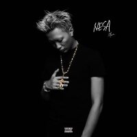 NESA (Explicit)