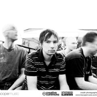 Pineapple  Thief圖片照片_Pineapple  Thief