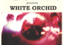 White Orchid專輯_French FilmsWhite Orchid最新專輯