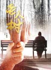 韓曉演過的電影電視劇線上看_影視作品大全_好看的明星