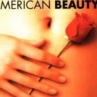 美國美人American Beauty圖片照片_美國美人American Beauty