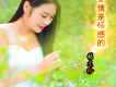愛你愛的好心痛歌詞_張龍珍愛你愛的好心痛歌詞