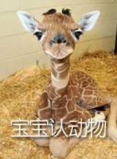 寶寶認動物動漫全集線上看_卡通片全集高清線上看_好看的動漫