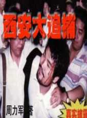 夜幕下的哈爾濱（84版）線上看_全集高清完整版線上看_分集劇情介紹_好看的電視劇