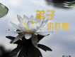 花兒要開就開了歌詞_顧小曼花兒要開就開了歌詞