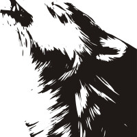 狼嘯圖片照片_狼嘯