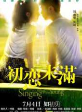 張含韻演過的電影電視劇線上看_影視作品大全_好看的明星