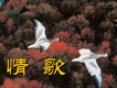 雁子音樂專輯_雁子雁子音樂最新專輯