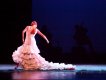 Flamenco圖片照片_Flamenco