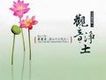 宗教音樂歌曲歌詞大全_宗教音樂最新歌曲歌詞