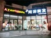 阿洋圖片照片_阿洋