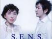 S.E.N.S圖片照片_S.E.N.S
