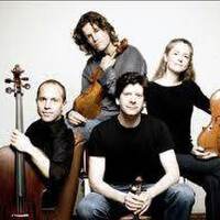 String Quartet Tribute圖片照片_String Quartet Tribute