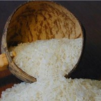Rice圖片照片_Rice