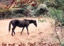 Hapless專輯_Flowers From The ManHapless最新專輯
