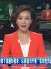 遼寧新聞最新一期線上看_全集完整版高清線上看 - 蟲蟲綜藝