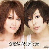 CHERRYBLOSSOM圖片照片_CHERRYBLOSSOM