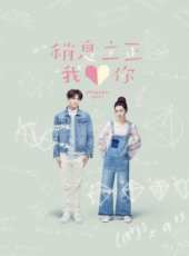 王子最新電視劇_王子電視劇作品全集線上看_好看的電視劇