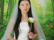 湘佛蓮歌曲歌詞大全_湘佛蓮最新歌曲歌詞