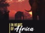 Polyrhythm African Music: Traditional Instruments Sounds for Deep Cultural Immersion專輯_Ethnic Moods AcademyPolyrhythm African Music: Traditional Instruments Sounds for Deep Cultural Immersion最新專輯