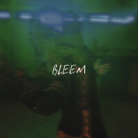 Bleem多維視角