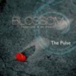 Blossom