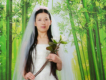 湘佛蓮歌曲歌詞大全_湘佛蓮最新歌曲歌詞