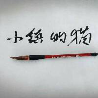 小鎮個人資料介紹_個人檔案(生日/星座/歌曲/專輯/MV作品)